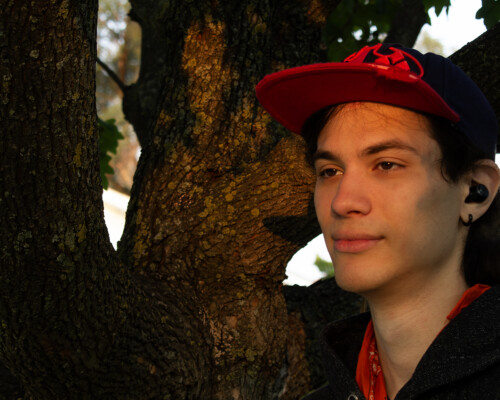 Person looks in the direction of the orange sun as the stand next to the trunk of a tree. They gaze at the suns splendor as it sets in the sky.